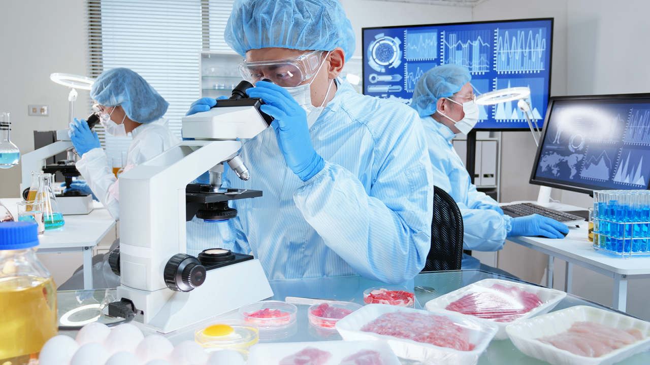 Three scientists in a food lab testing for food contamination and food safety using microscopes and computer software.